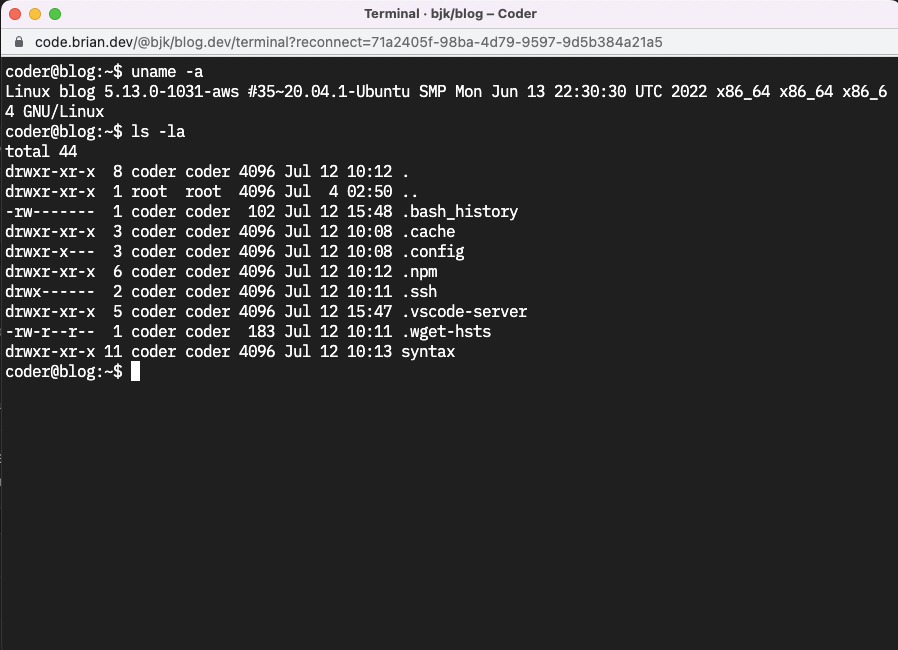 Web Terminal